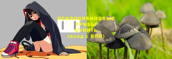 ешки Абинск