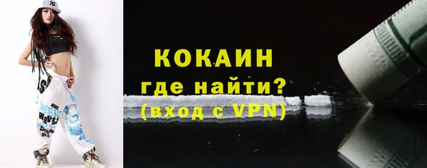 соль ск Абаза