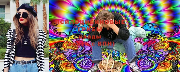 ешки Абинск