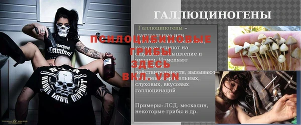 соль ск Абаза