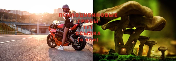 соль ск Абаза